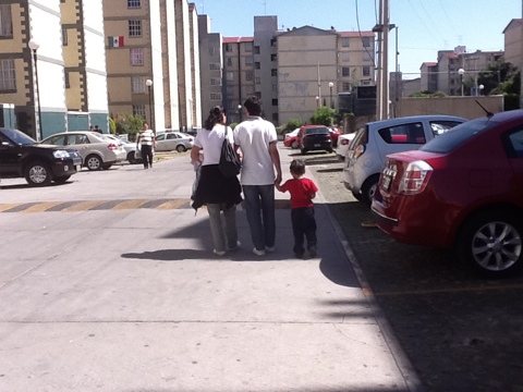 Familia de Torres Toreo