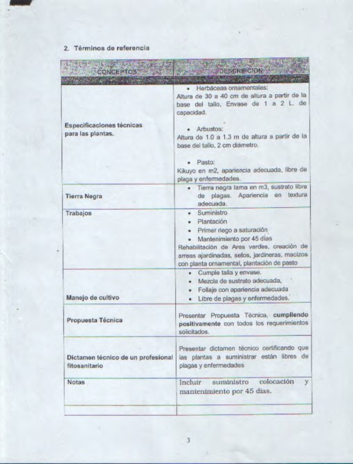 Plantas para presupuesto.