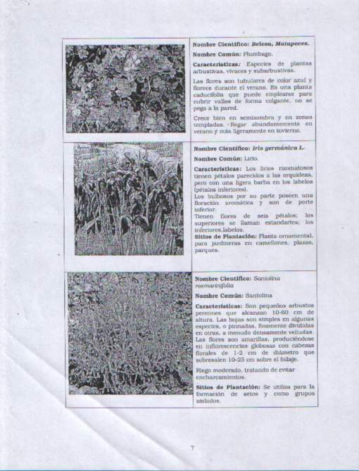 Plantas para presupuesto.