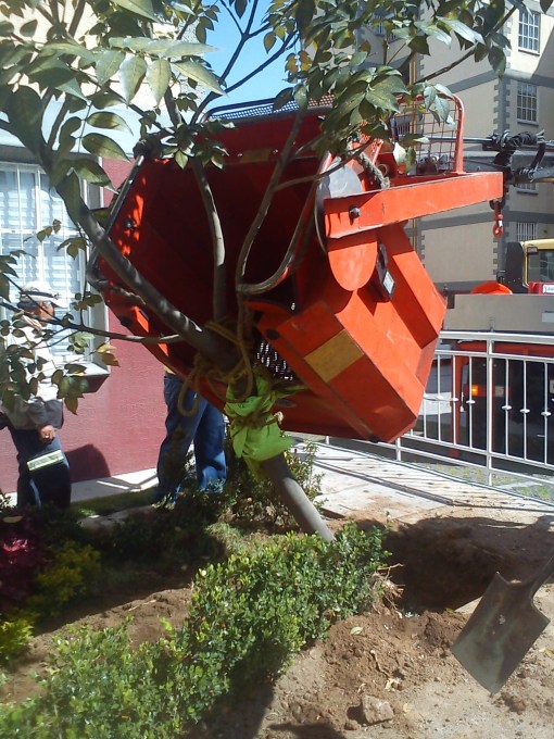 Miércoles ciudadano.