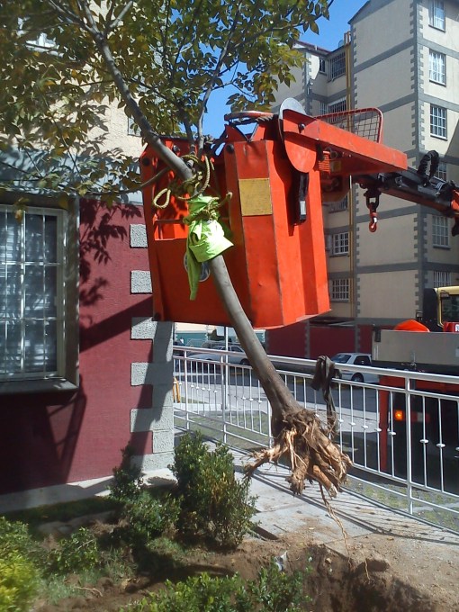 Miércoles ciudadano.