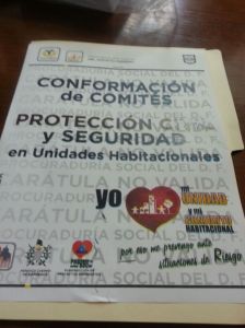 Documento de conformación de comités