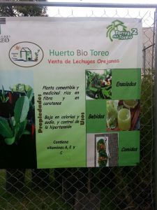 Cartel de Huerto Bio Toreo